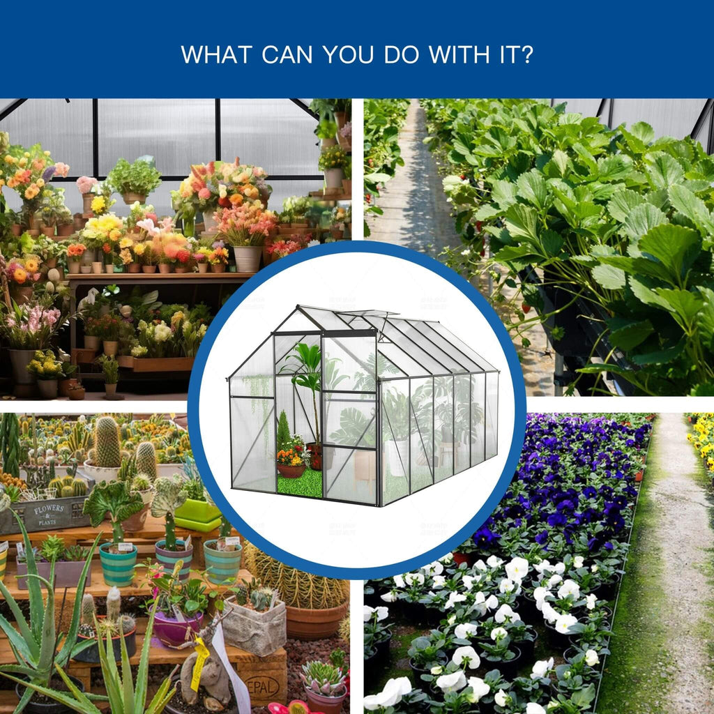 [06X12FT] Alora Heavy-Duty Black Polycarbonate Greenhouse With Raised Base And Anchor (SAK92451)