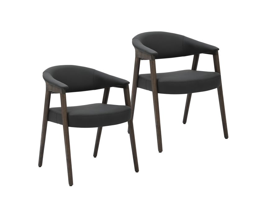 Mide Dining Chair, Set of 2