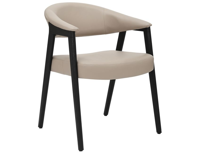 Mide Dining Chair, Set of 2