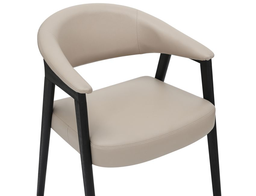Mide Dining Chair, Set of 2
