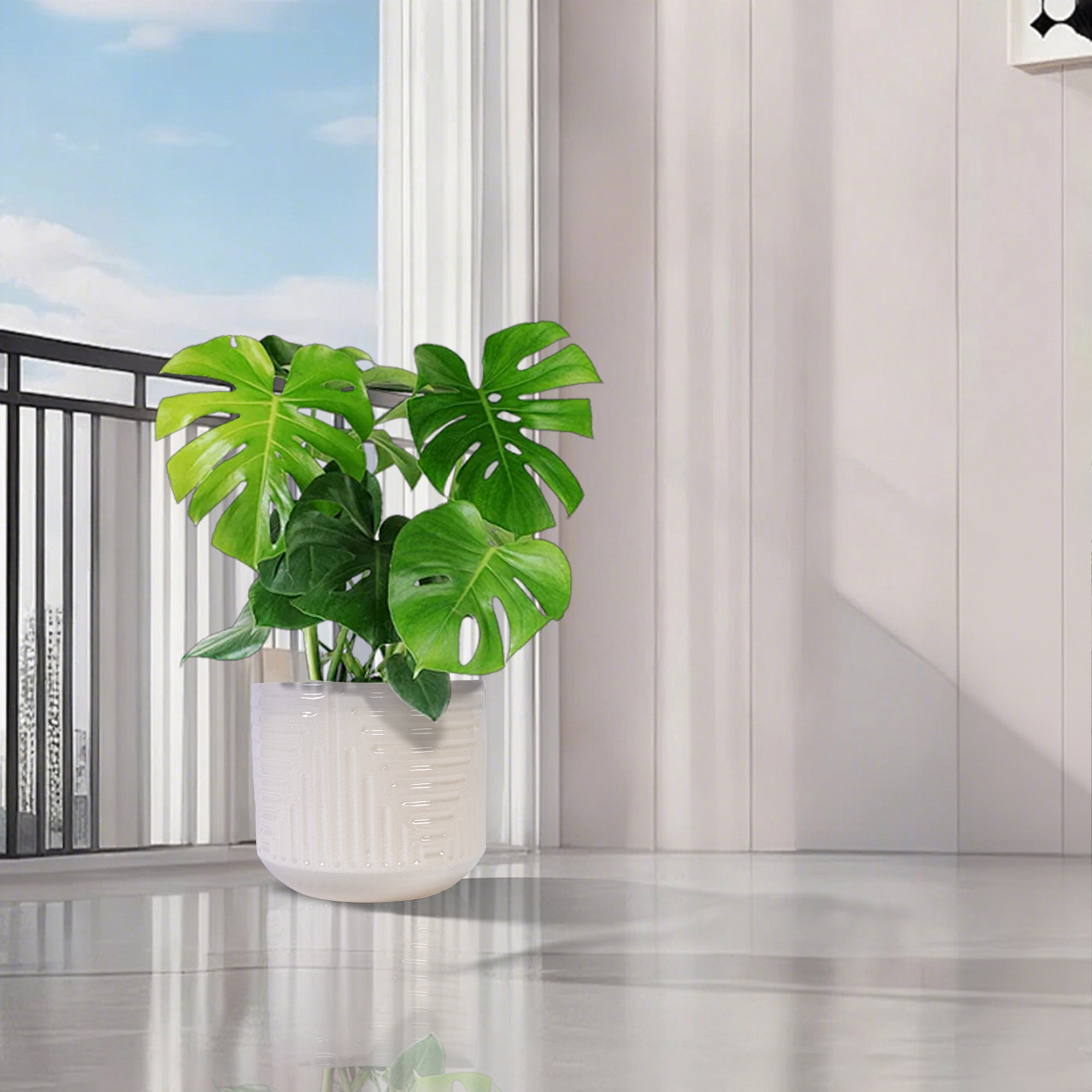Ceramic Flowerpot, Modern Planter for Patio, Garden, Windowsill - White