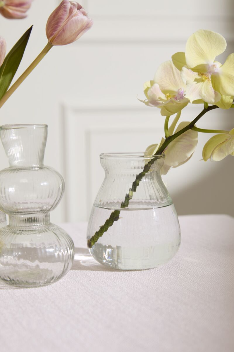Yele Budvase