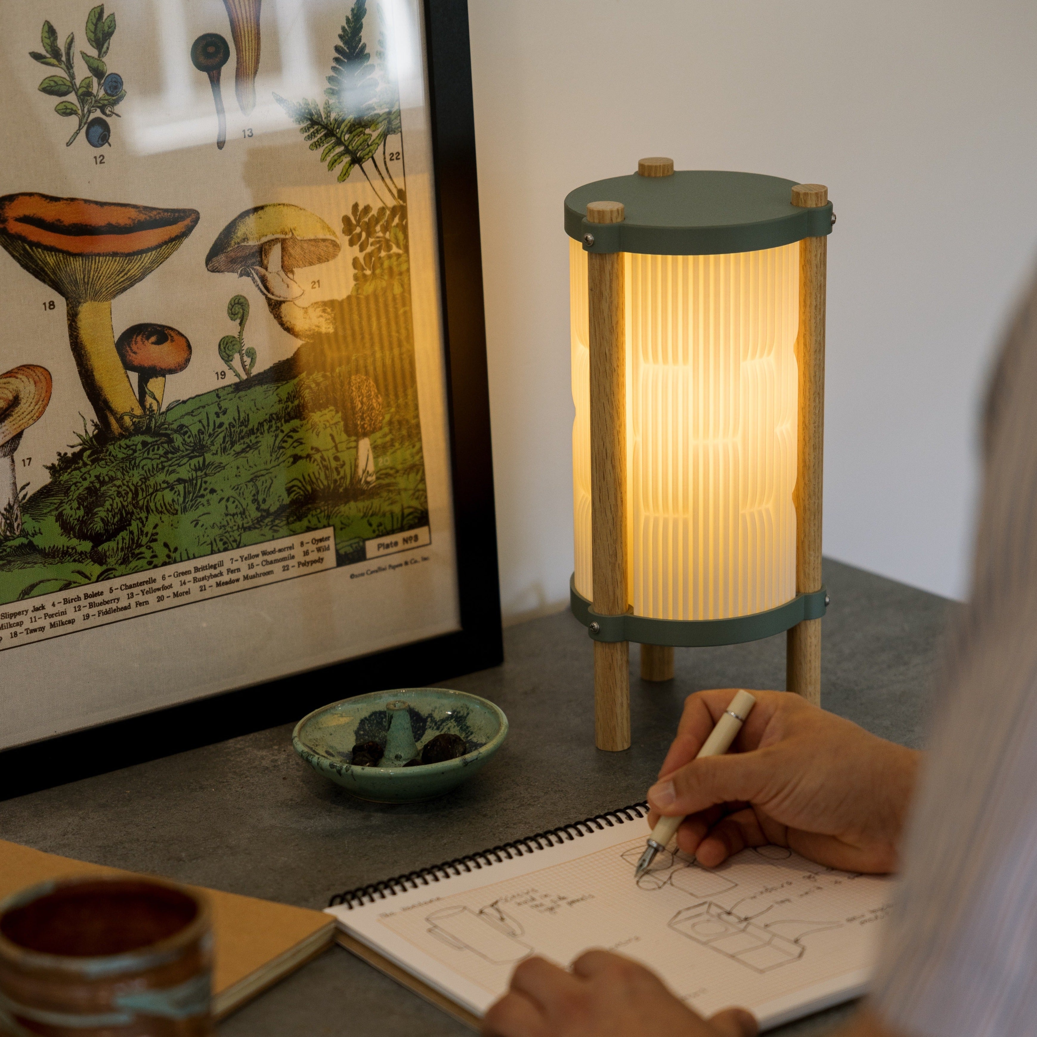 Toro Table Lamp