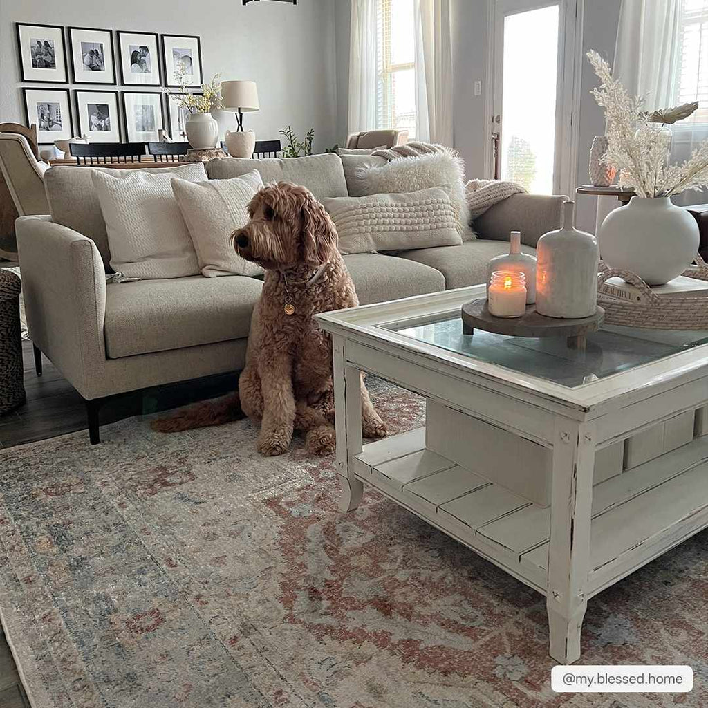 Emke Flat Pile Washable Rug