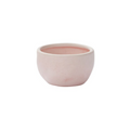 Luna Ceramic Planter Bowl