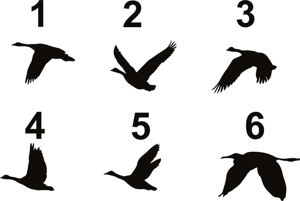 Geese Birds