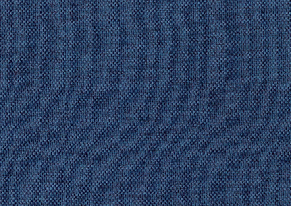 Modern Home Furniture Blue Fabric Upholstery 1pc Accent Chair Solid Rubberwood Natural Finish Contemporary Cushion Seat