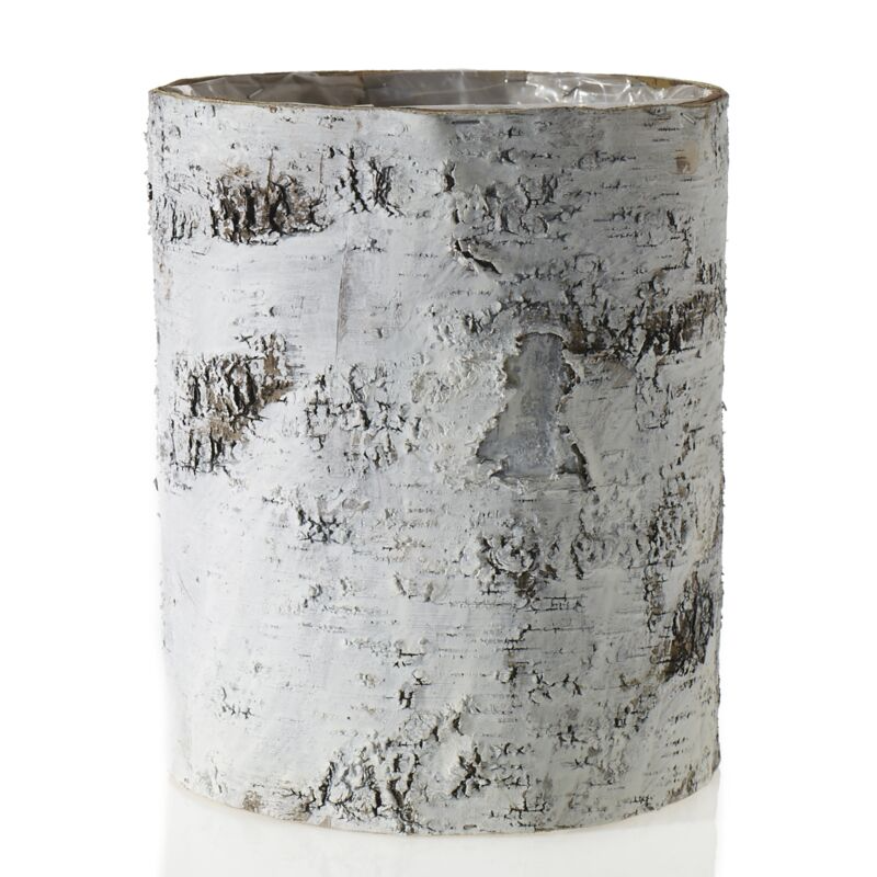 White Birch Cylinder