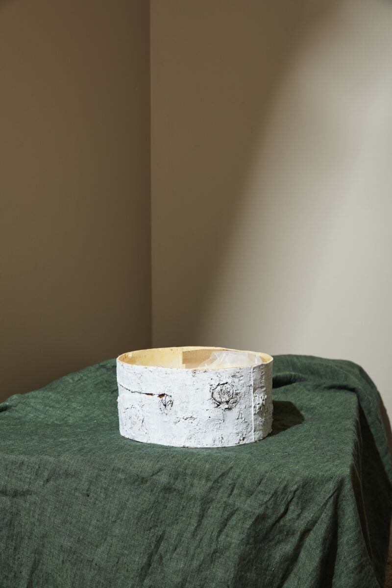 White Birch Bowl