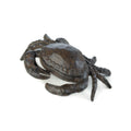 CRAB KEY HIDER