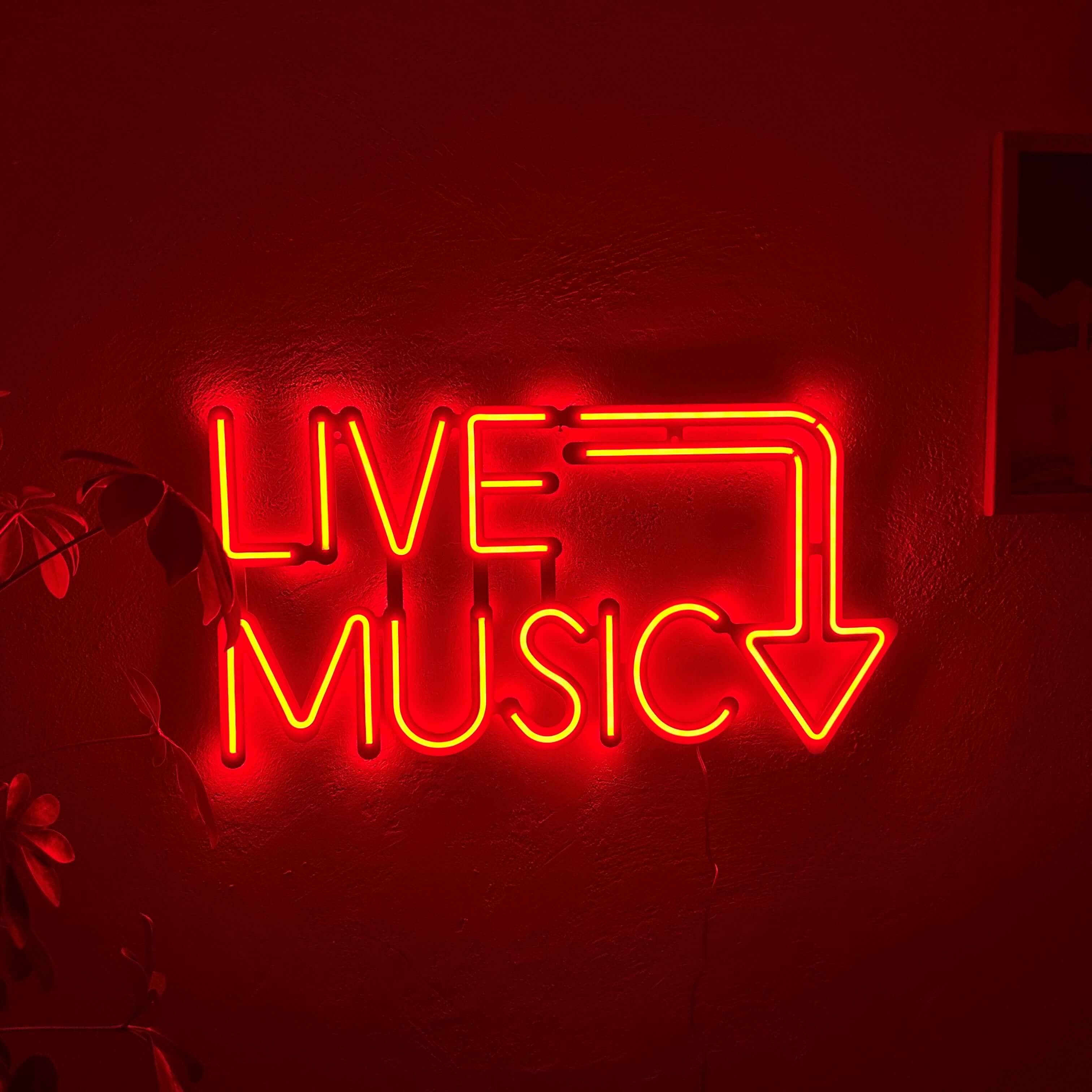 Live Music Neon Metal Sign