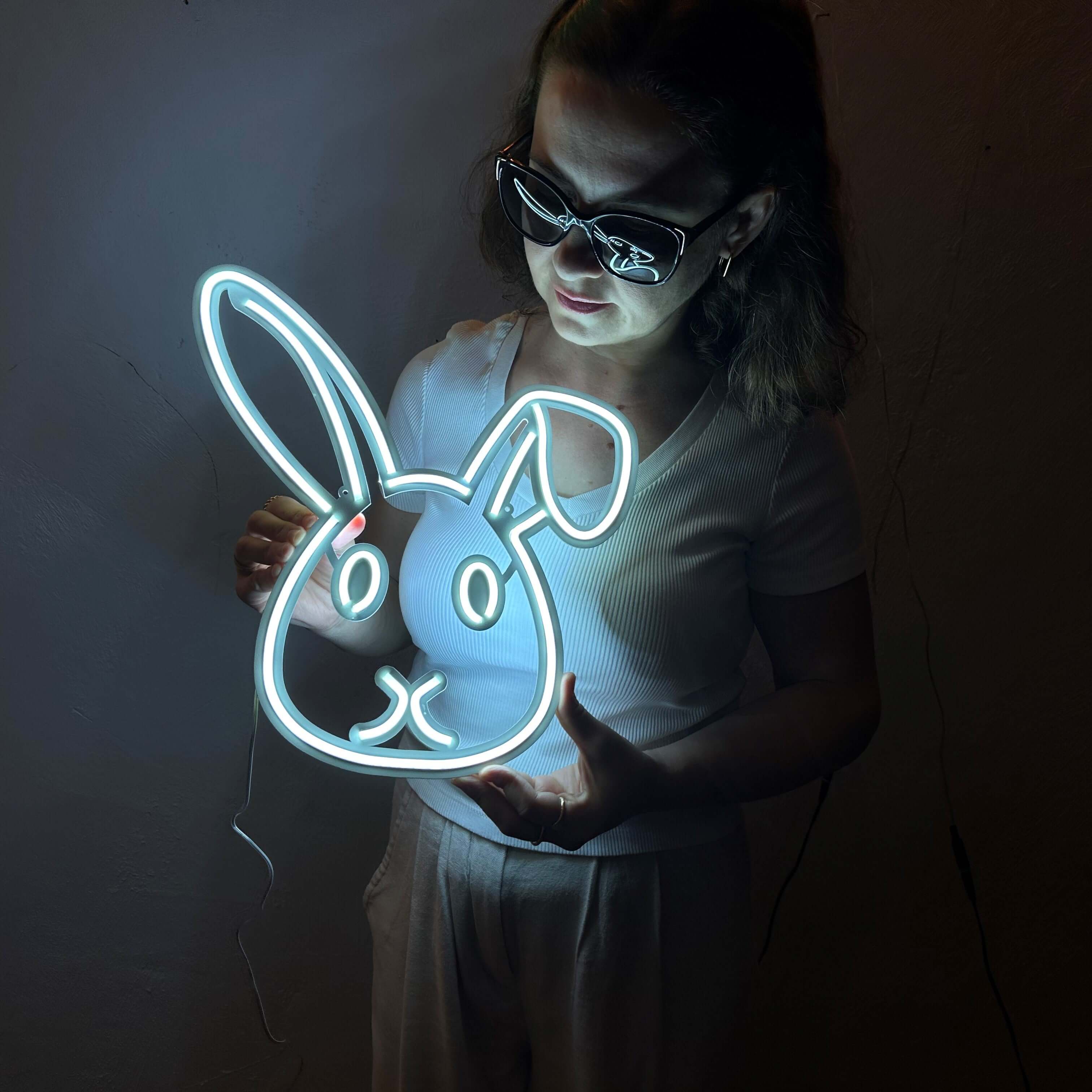 Rabbit 3 Neon Metal Sign