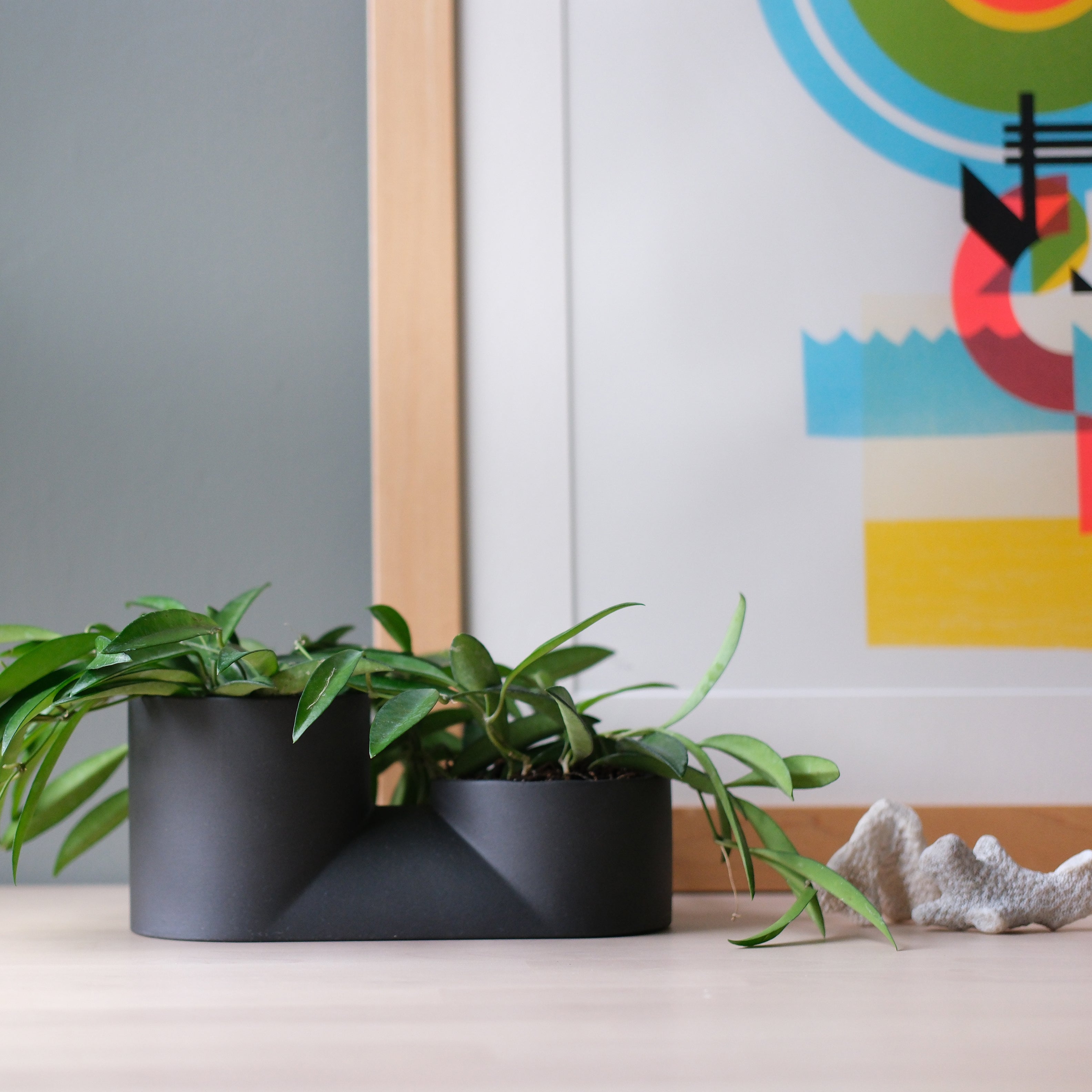 Double Planter