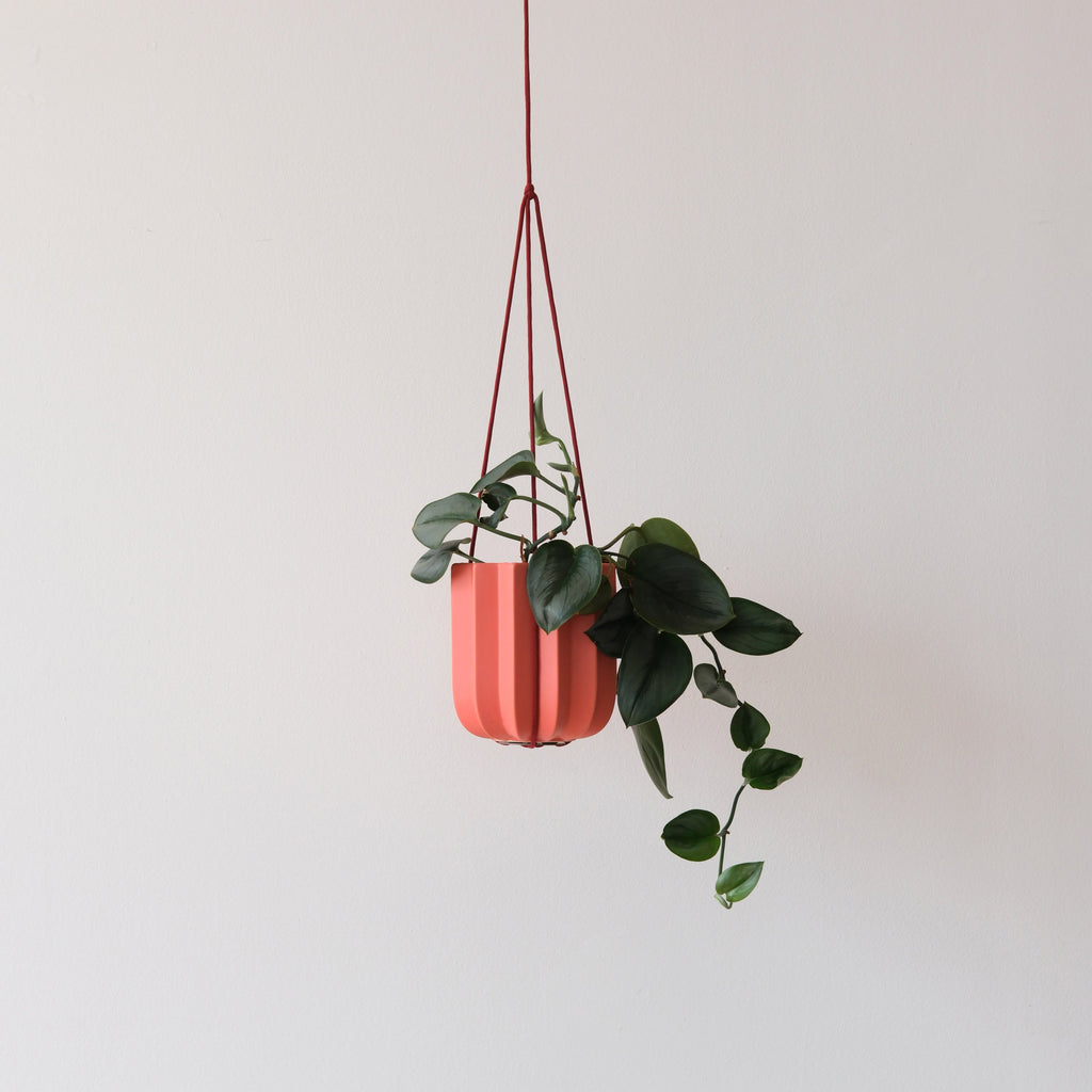 Wrap Hanging Kit