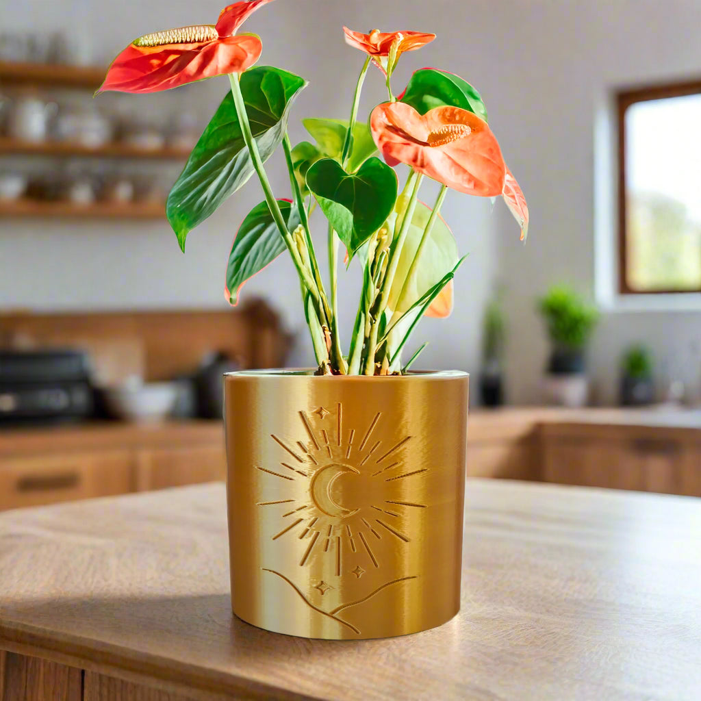 Moon Planter