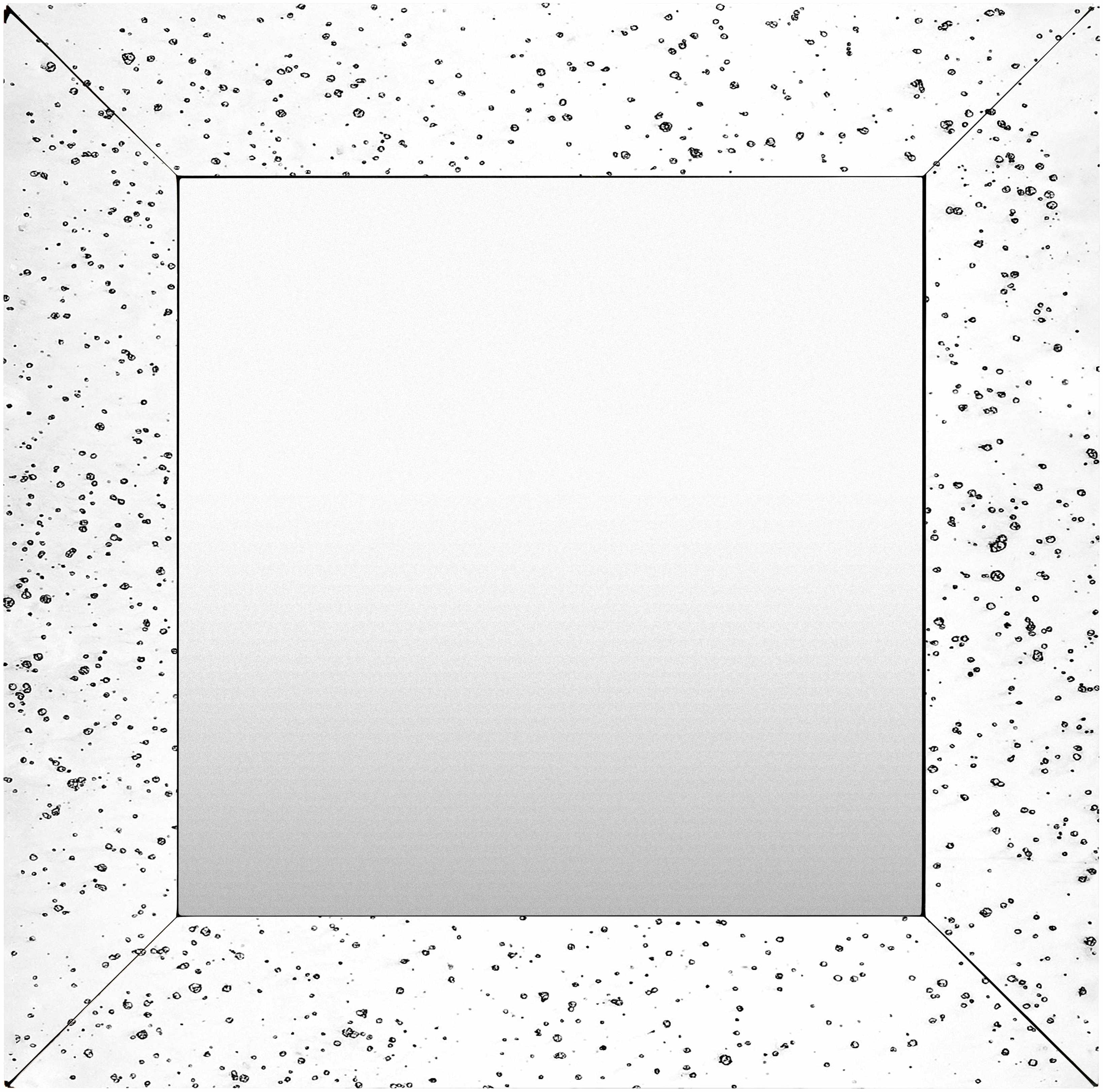 Papine Mirror - Clearance