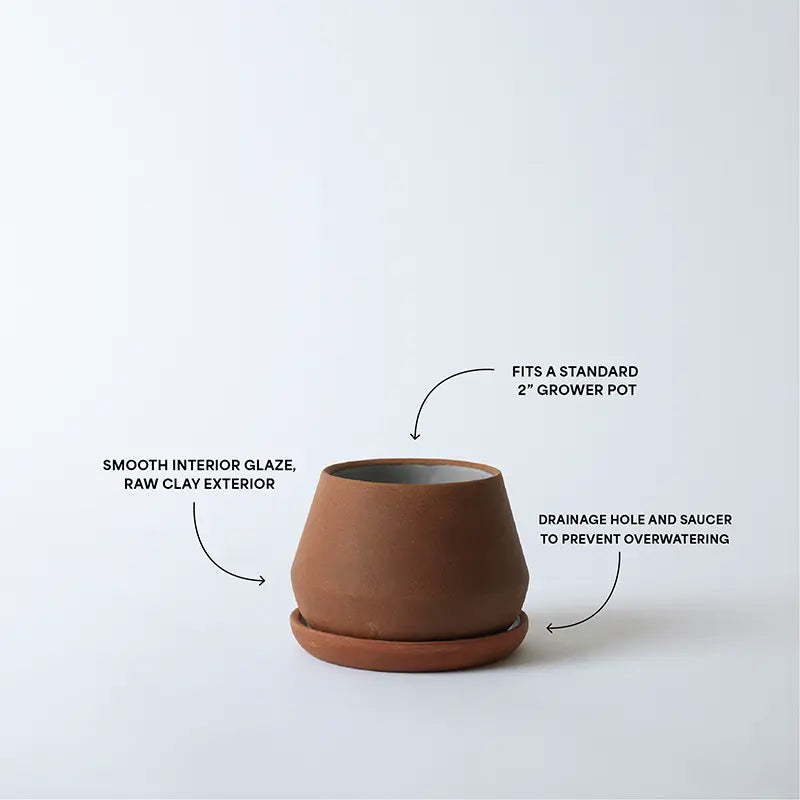 Rancho Planter