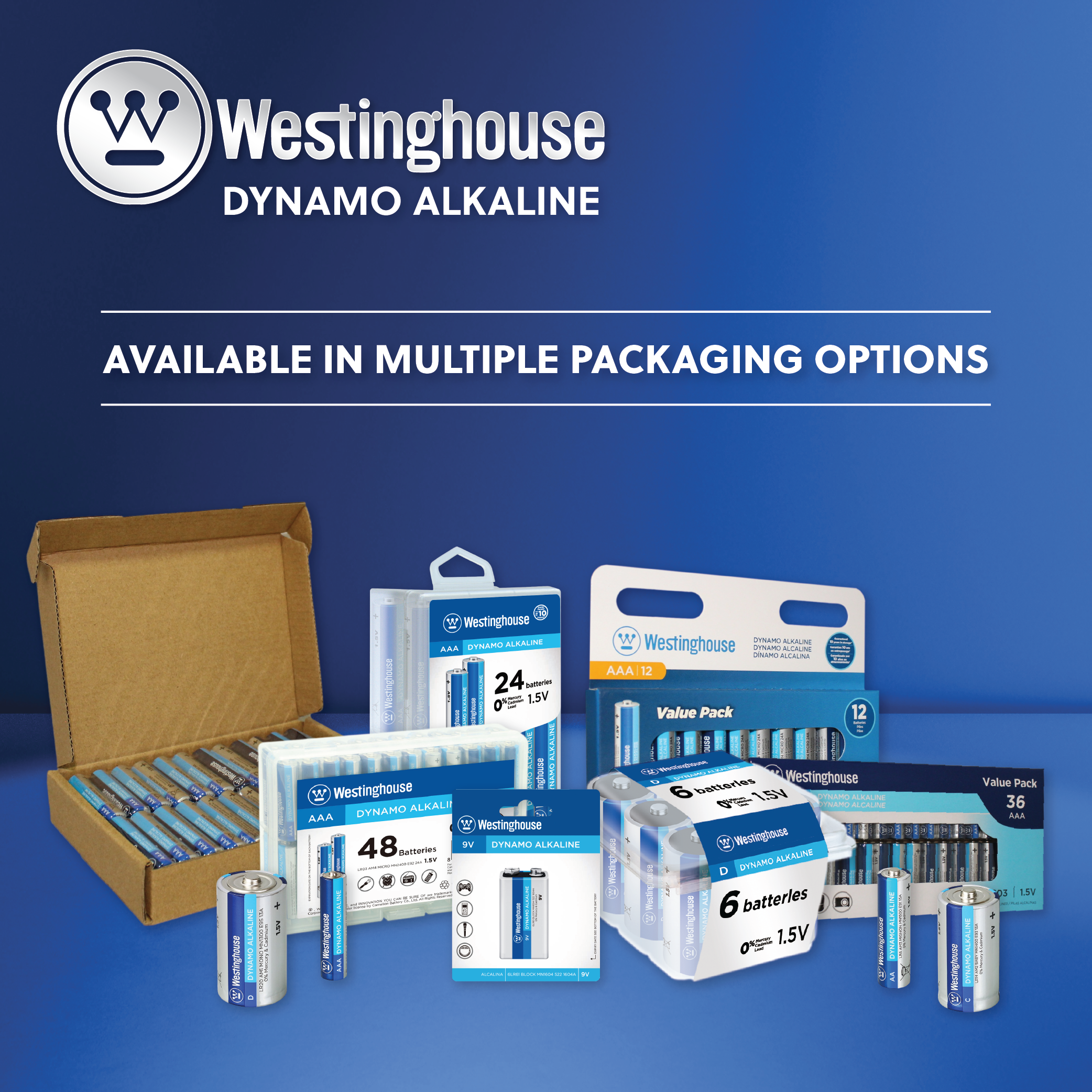 Westinghouse C Dynamo Alkaline Plastic Tub of 6
