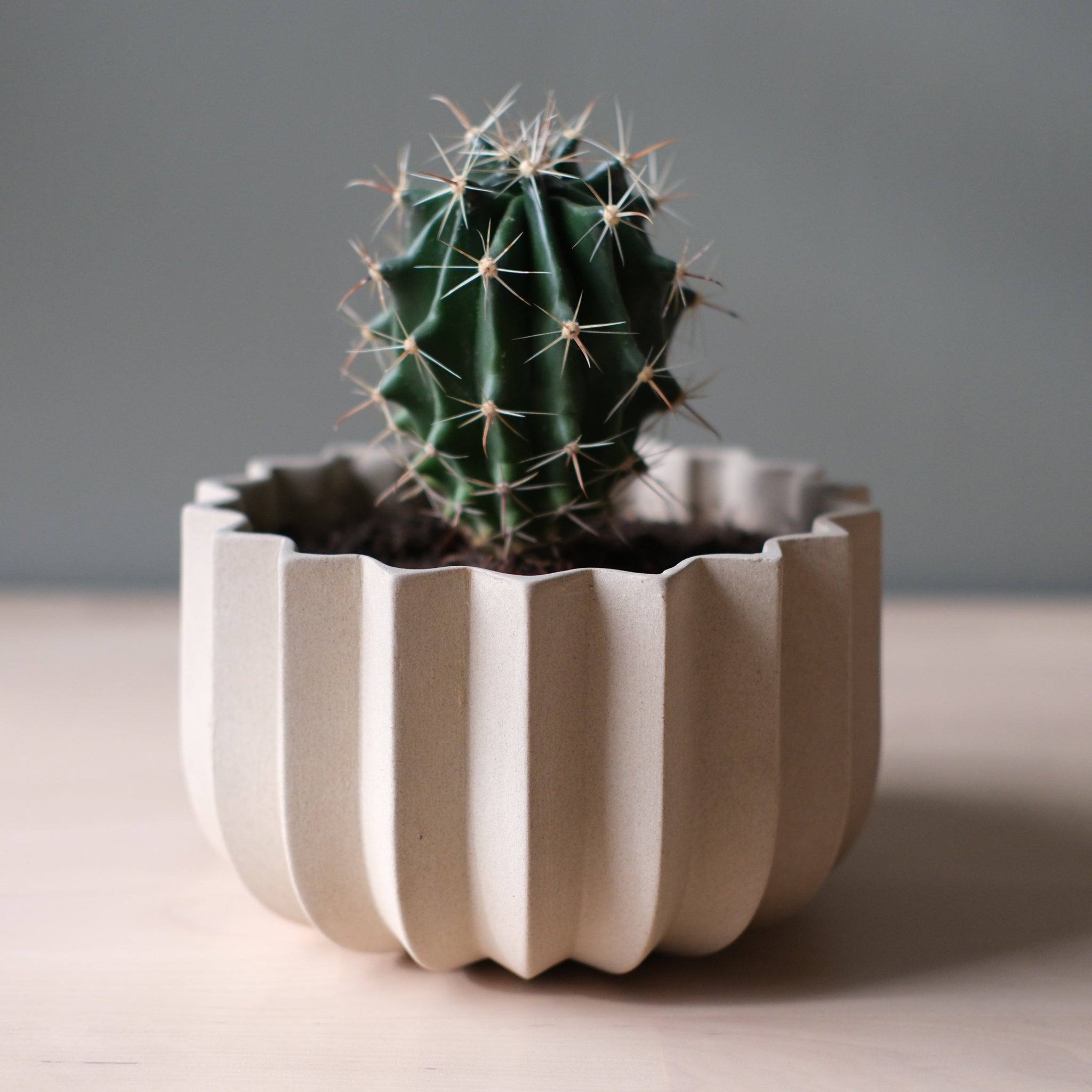 Wrap Planter - 4 sizes