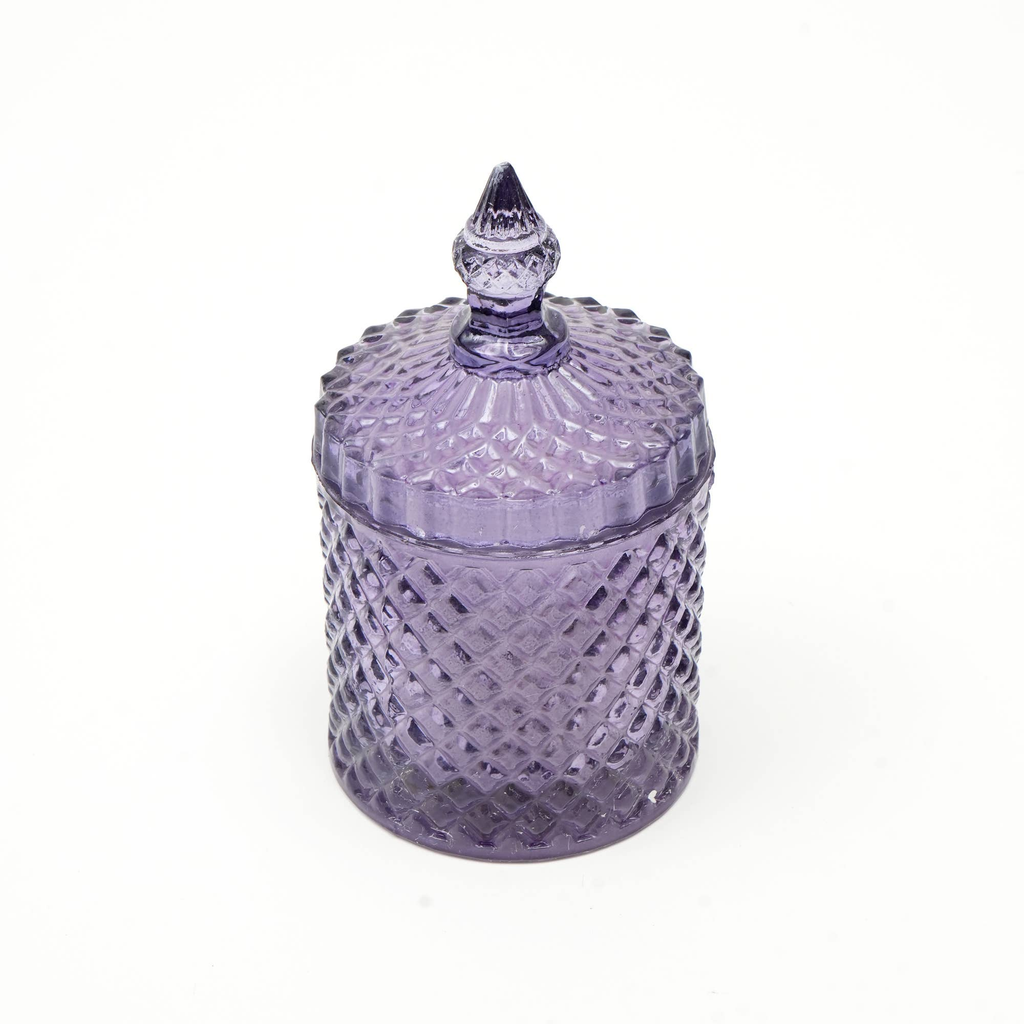 Plush Radiance Scented Wax Candle