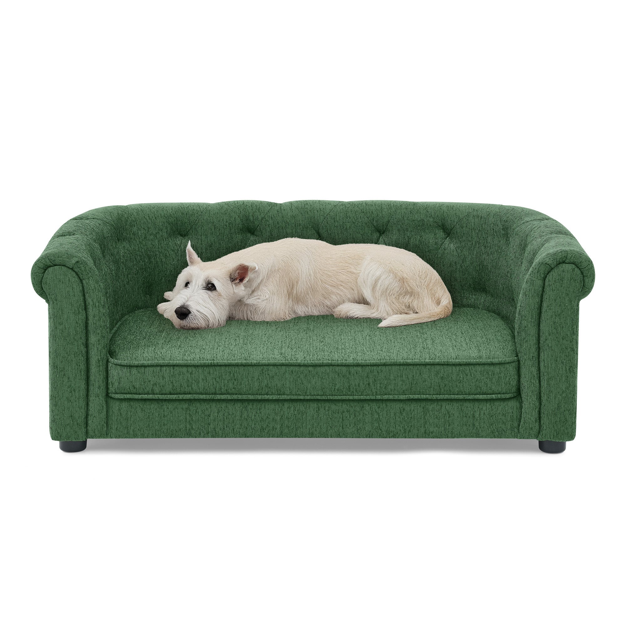 Pet sofa with arc-shaped backrest and armrests, contemporary rectangular pet sofa crafted from breathable linen  cozy soft cushion dog sofa --GREEN