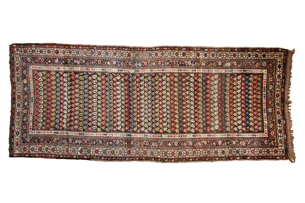 3.5x8.5 Vintage Kurdish Hamadan Rug Runner