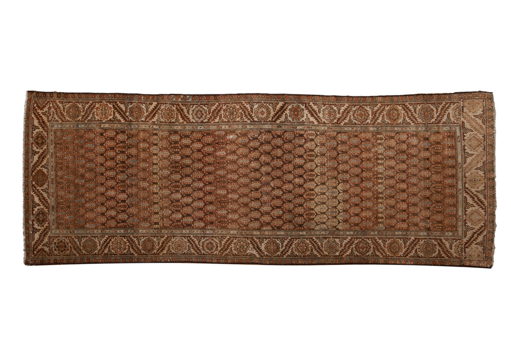 3.5x9.5 Vintage Distressed Hamadan Rug Runner