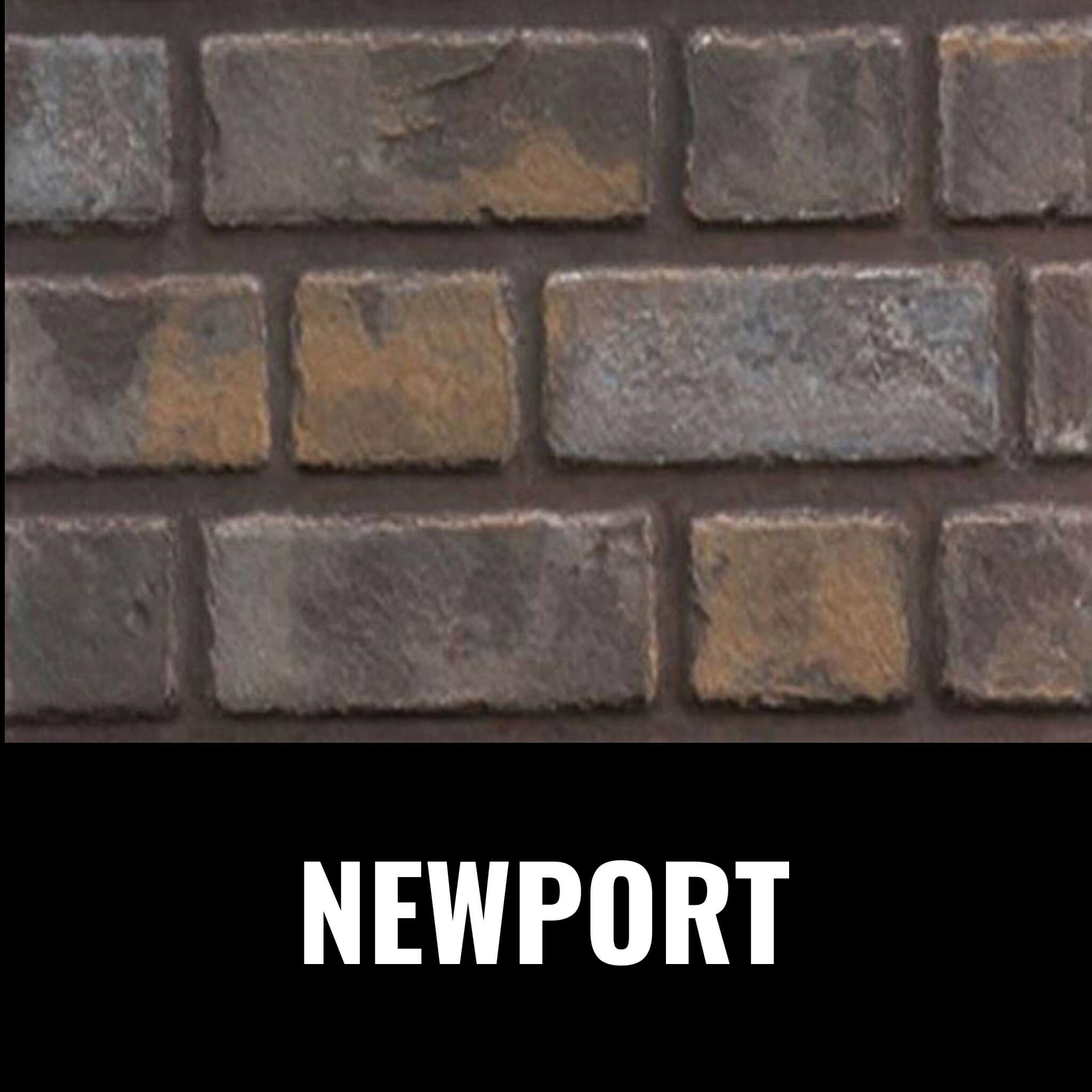 Napoleon Oakville X3/X4 Direct Vent Electronic Ignition Natural Gas Fireplace Insert (GDIX3N/4N-1) (SAK21347)