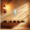 Deer skull mount
