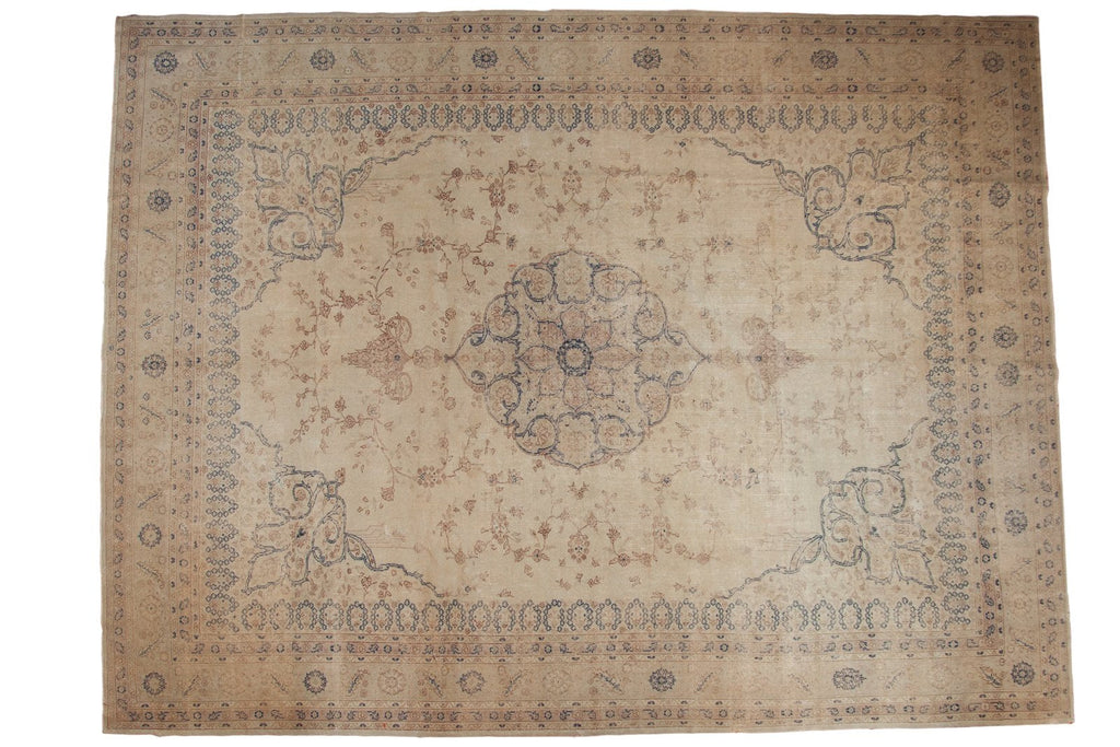 11x14.5 Vintage Distressed Sparta Carpet