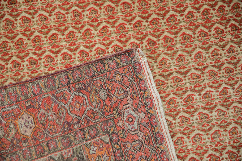 4x7 Vintage Distressed Malayer Rug