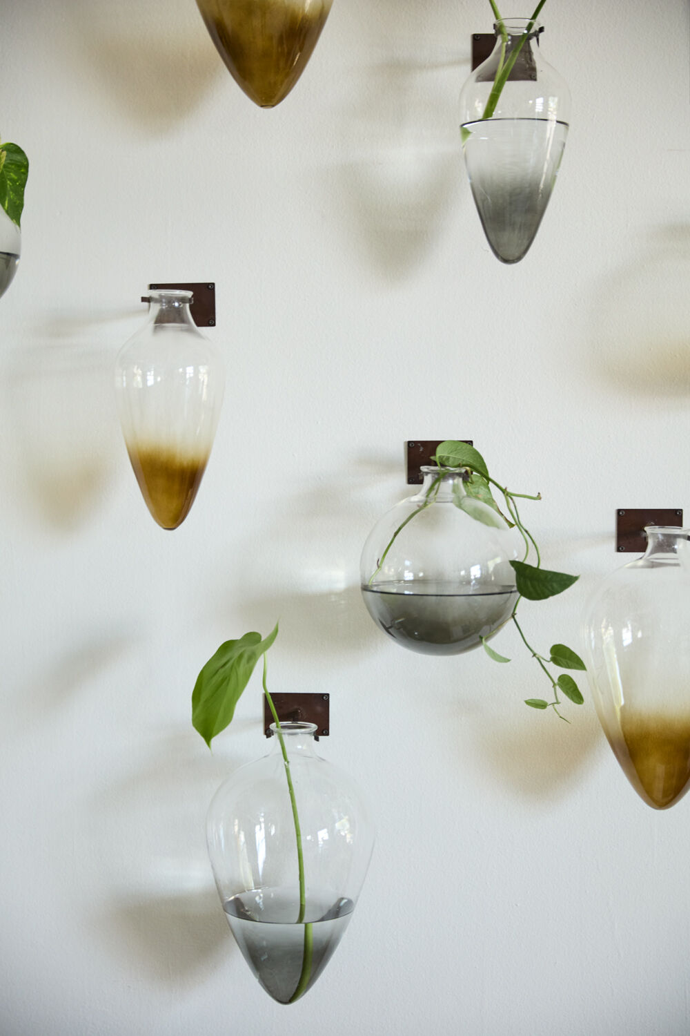 Envision Wall Mount Vase - Teardrop shape
