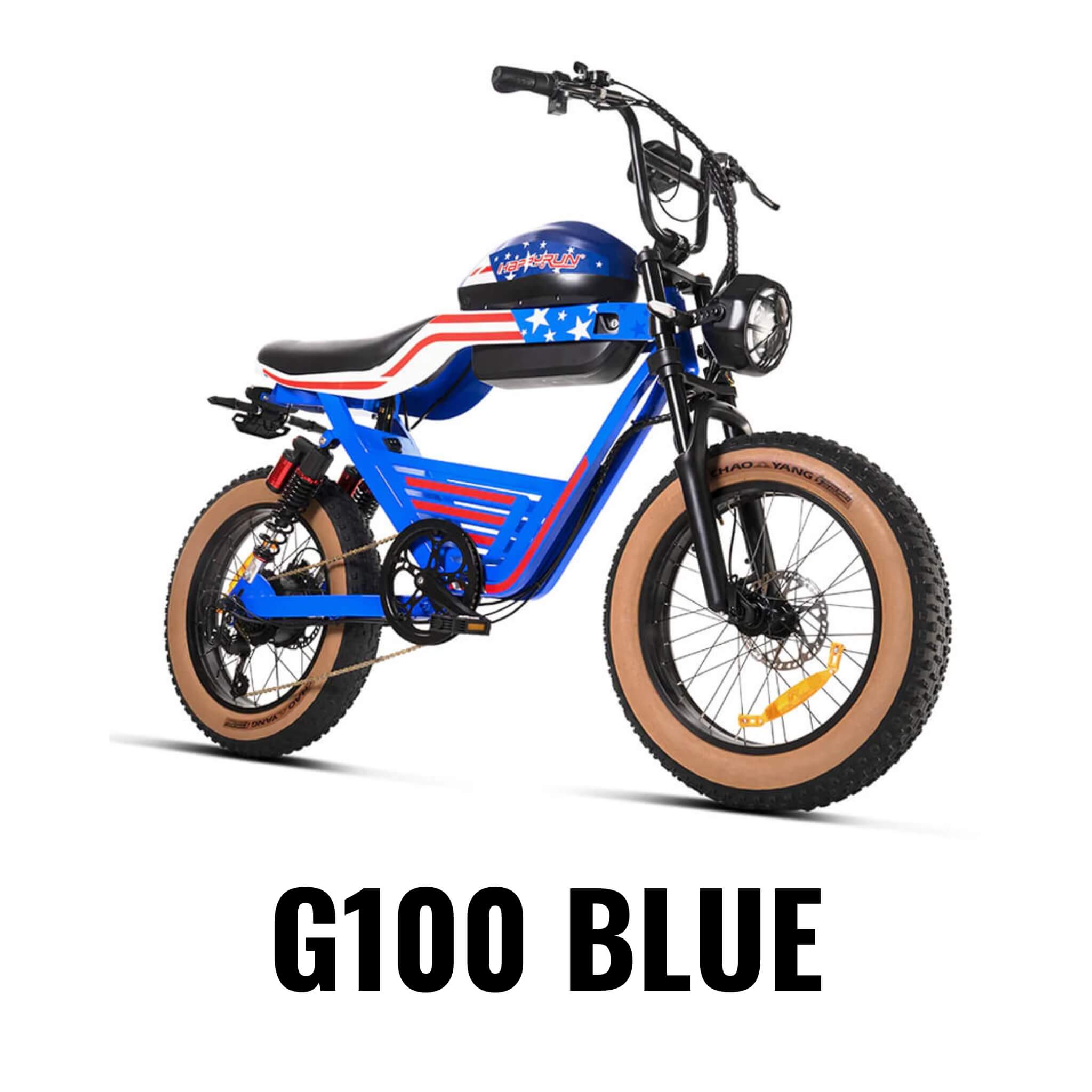 HappyRun G100 (G100 Pro) Long Distance Electric Fat Tire Bike Motorcycle (SAK95715)