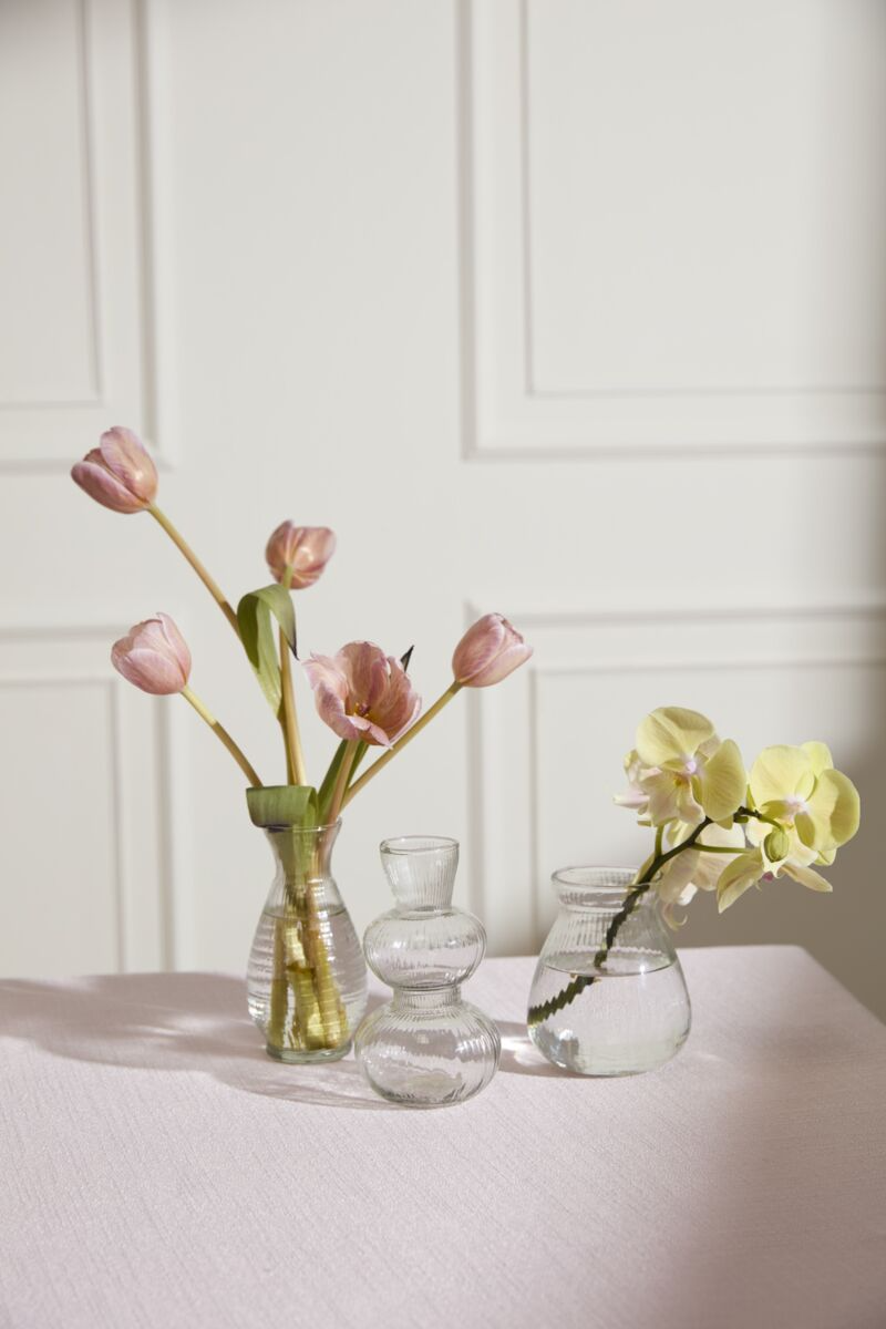 Yele Budvase