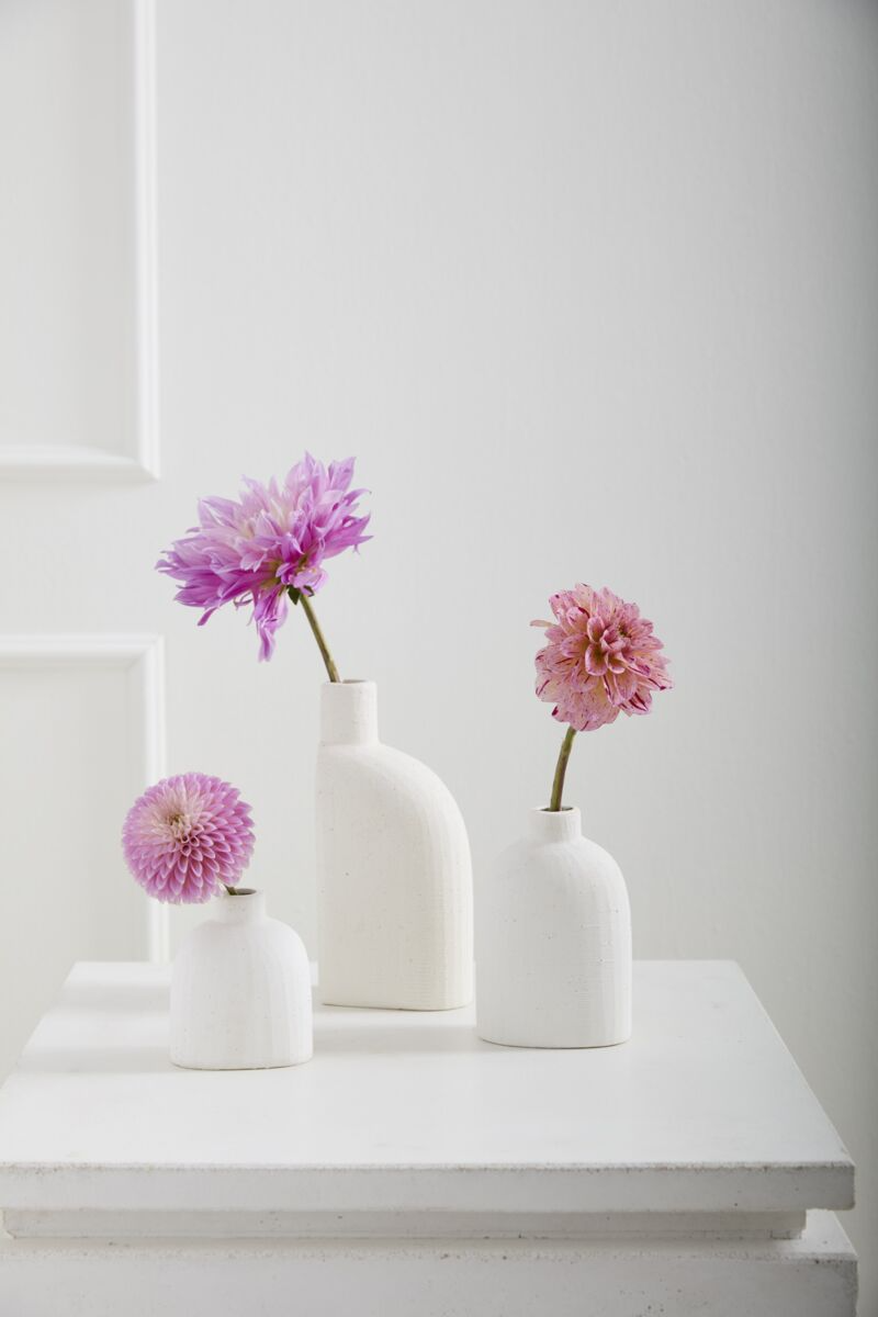 Karis Budvase