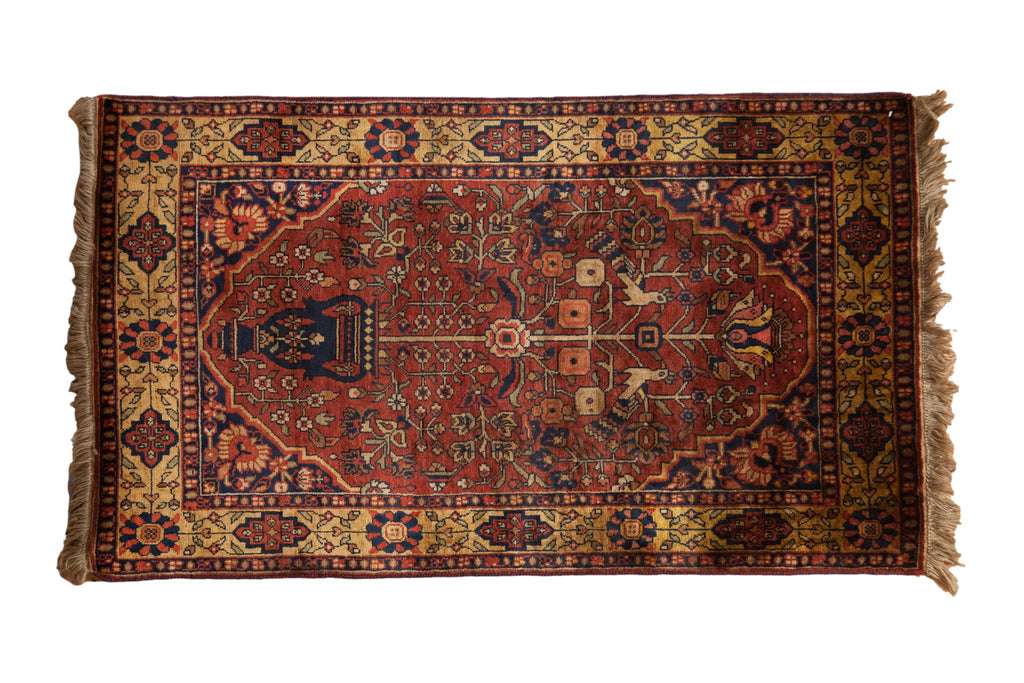 3x5.5 Vintage Indian Bakhtiari Design Rug