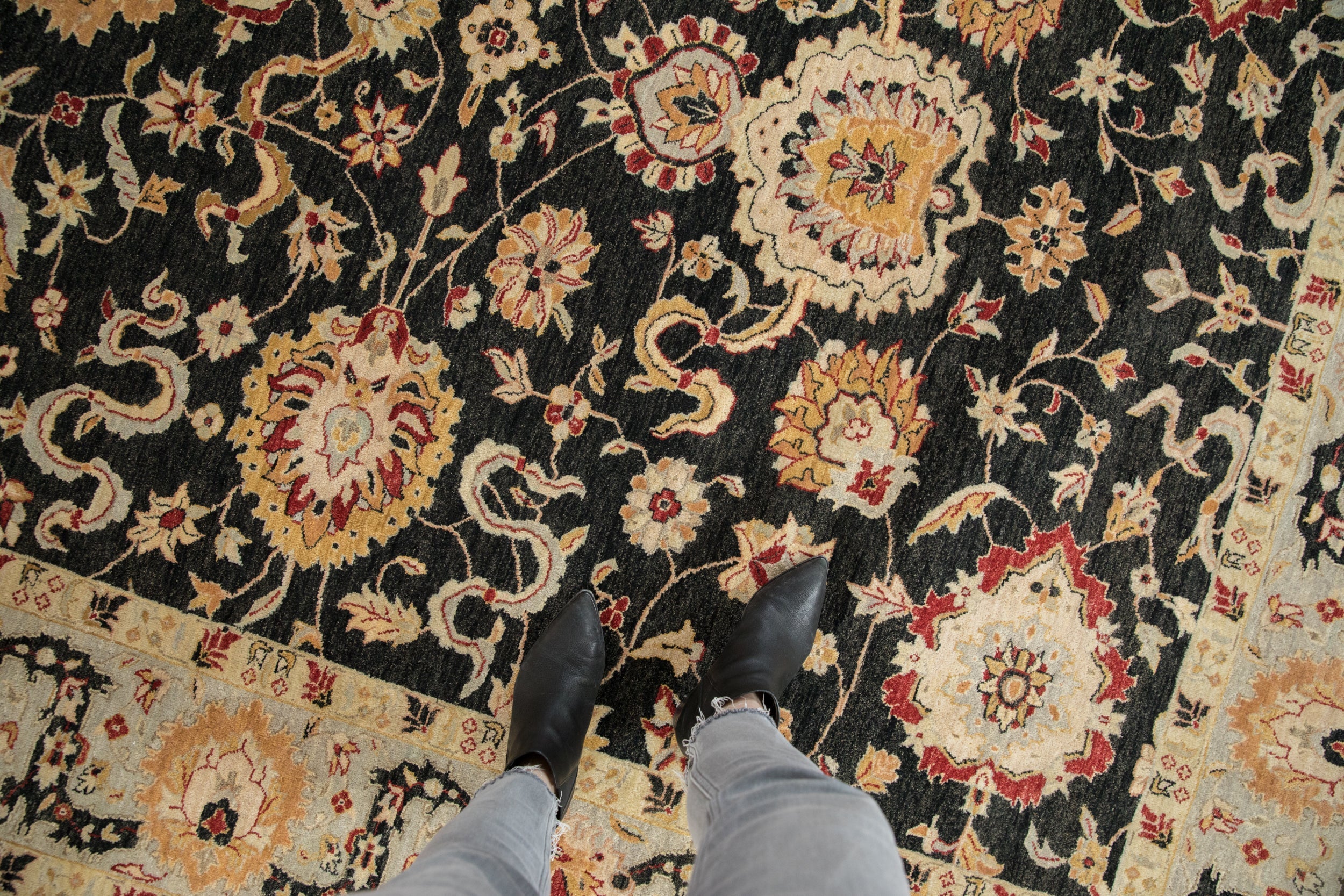 8x10 Indian Sultanabad Design Carpet