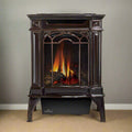 Napoleon Arlington 20 Cast Iron Millivolt Ignition Majolica Brown Natural Gas Stove, 19" [GDS20NNSB] (SAK43798)