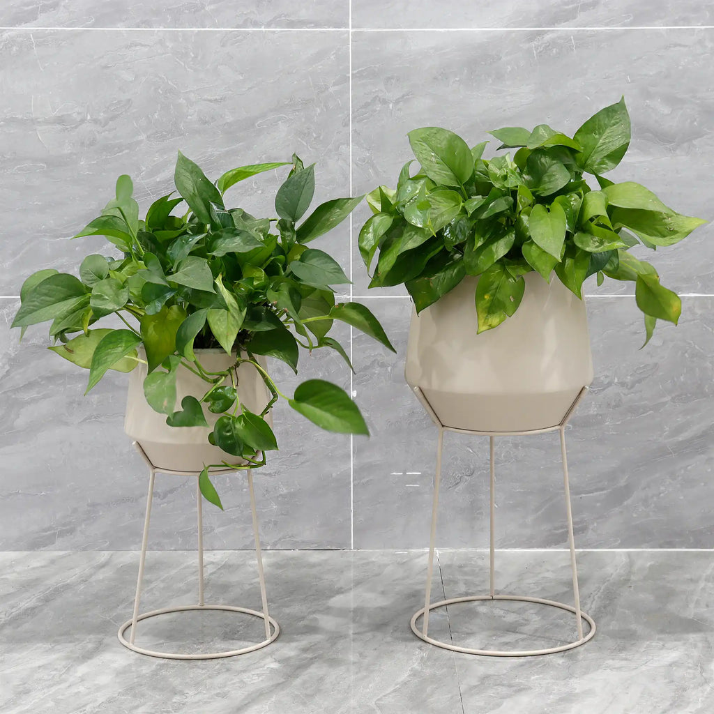 Set of 2-16"&19.5"H Set Of 2 Cream Grey Flowerpot