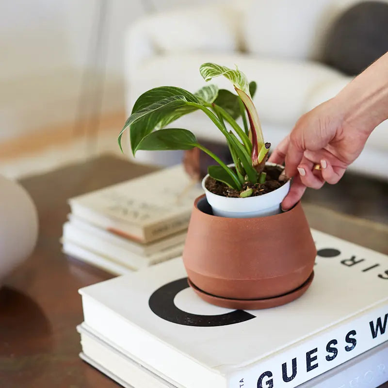 Rancho Planter