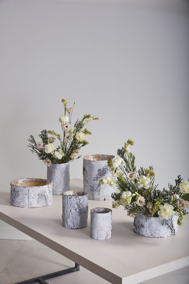 White Birch Bowl