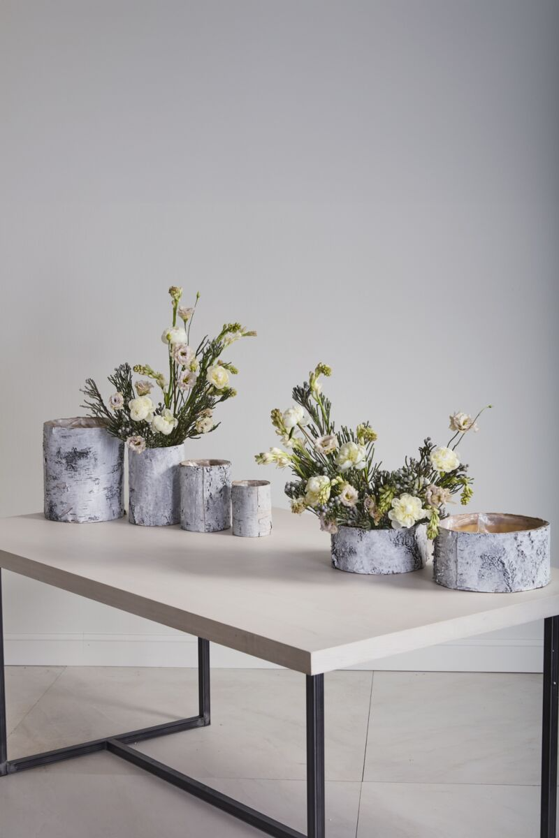 White Birch Cylinder