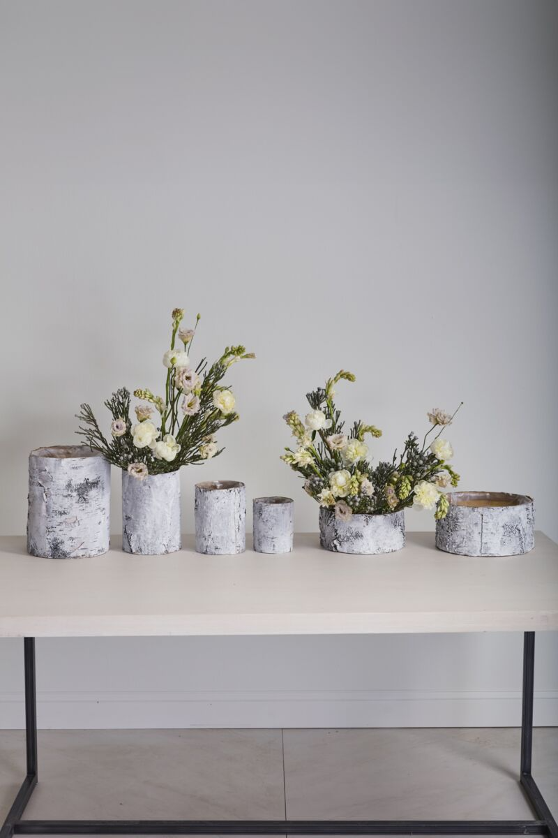 White Birch Bowl