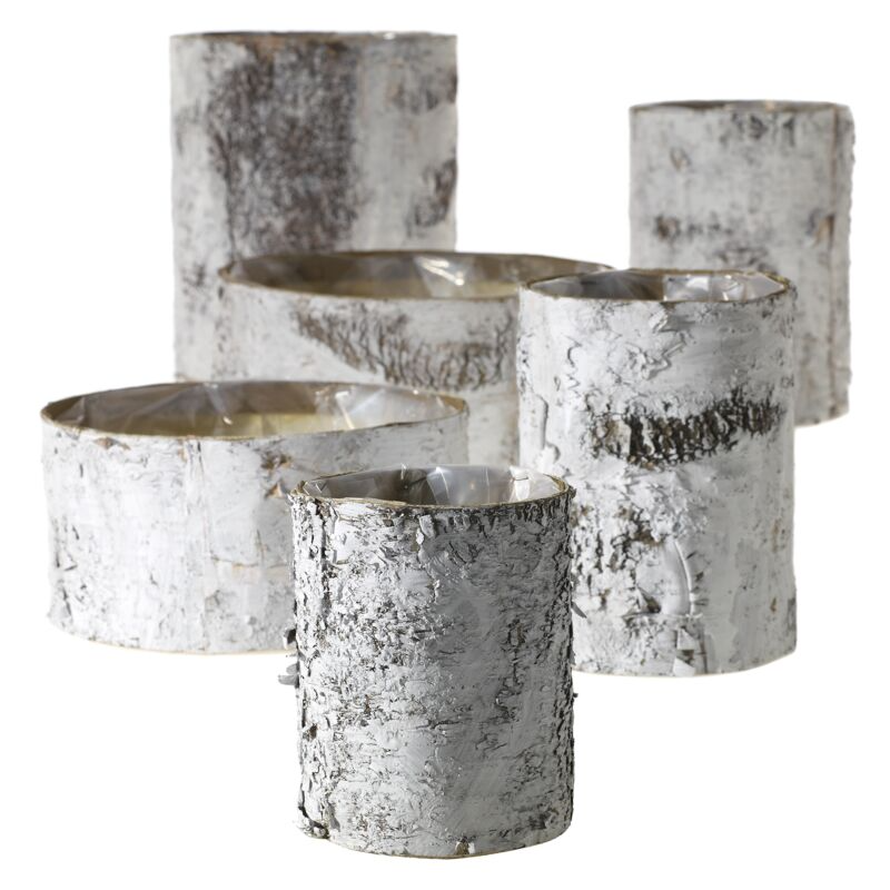 White Birch Bowl